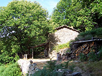 Image 1 de 14