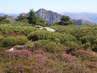 Image 12 de 14